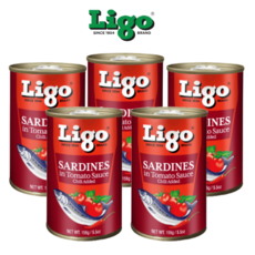 [PERA PLUS] Ligo RED chili SARDINES tomato sauce 필리핀 리고 생선통조림 토마토, 5개, 155g