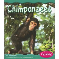 [원서] Chimpanzees (Rain Forest Animals)