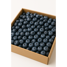 [더달달] 16mm이상 대과 프리미엄 생 블루베리, 1세트, 125g
