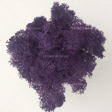 인공 녹색 식물 영원한 생명 DIY 잔디 홈 룸 미니 가짜 50g, 16)10g, purple