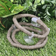 크레스티드 게코 도마뱀 정글바인, 1m, 1cm