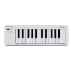 Arturia MicroLab Mk3 음악 제작을 위한 범용 MIDI 컨트롤러 블랙, White, 1개