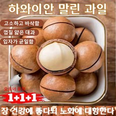 【오프너 증정】하와이안 마카다미아 우유맛 견과 대용량 신선 건과 간식 휴대용 스낵 통포장, 250*2 봉지