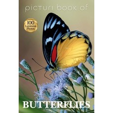 (영문도서)Picture Book of Butterflies: 100 Luminous Photos to Delight and Comfort People L... Paperback, Independently Published, English, 9798273811874