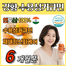 데일업 강황 추출물 커큐민 수용성 가루 HACCP 식약처 인증 가성비 면역력 몸속 케어 영양공급, 6개, 60정