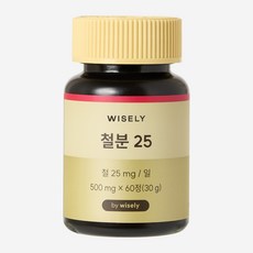 와이즐리 철분 25 (2개월분), 60정, 1세트