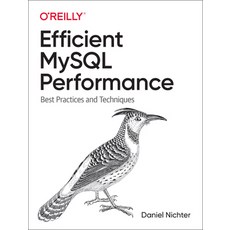 (영문도서) Efficient MySQL Performance: Best Practices and Techniques Paperback, O'Reilly Media, English, 9781098105099