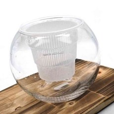 녕쭈 난재배용 포트 볼세트 14x15cm 수경재배유리화분