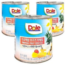 Dole 돌 트로피칼 후르츠 칵테일 통조림 432g 3개