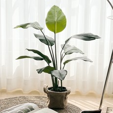 RYMD 바나나 극락조 조화 나무 소형, 혼합색상, 1개