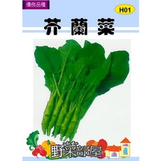 【野菜部屋~】H01 芥蘭菜種子 栽培容易 約40天可收成, 1包