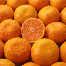 갓따온제주 하우스감귤 소과 1.5kg, 1개
