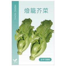 興農種苗 燈籠芥菜種子，全年可播種，口感清脆鮮甜，適合新手種植，體驗田園樂趣, 1個