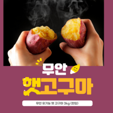 귀한손길 유기농 무안 햇고구마(한입), 1세트, 3kg