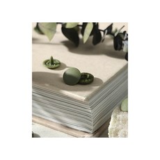 패션스타트 멀티 일제 T단추 썬그립티단추세트 11.5mm_17.올리브D.그린 1세트, 올리브그린