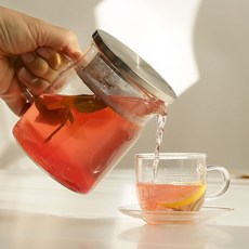 티온 내열유리 차주전자 저그+거름망뚜껑세트 티포트, 1개, 500ml, 투명