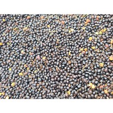 국내산 제피 초피 젠피 산초 종자 씨앗 껍질 제외 20g 약 1000립, 1개