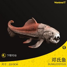 고대생물 해양동물 앵무조개 암모나이트 피규어 모형, K. 고대 물고기