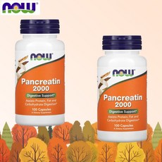 나우푸드 판크레아틴 Pancreatin 2000 10X 100캡슐 2개