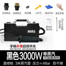 유선 습식 분사기 업소용 3000W, H. 블랙리얼 3000W스팀, H. 블랙리얼 3000W스팀
