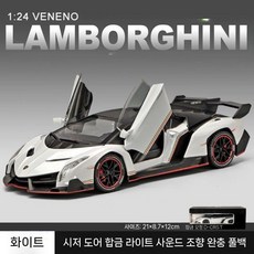 포이즌 합금 RC 드리프트 레이싱 스포츠카 장난감, 정규판 1/24 람보 포이즌 화이트