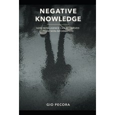 (영문도서)Negative Knowledge: How Intelligence Can Be Derived from Non-Information Paperback