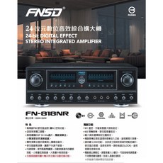 FNSD FN-818NR 24位元數位綜合擴大機, 1個