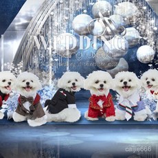 臺灣出貨 滌綸洋裝禮服襯衫領帶西裝寵物衣服，聖誕節日婚禮狗狗服裝, -LFXZ33紅格,XL, 1個