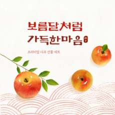 초고당도 16brix 부사사과 소과 3Kg 5Kg 10Kg, 1개