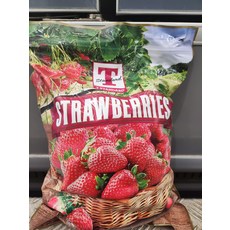 트레이더스 TSTANDARD 냉동 딸기 2.3KG 요거트 간식 아이스박스+아이스팩무료, 1개