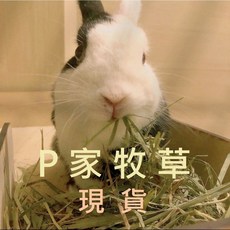 P家 牧草拉鍊鏈袋包裝 - 提摩西草/苜蓿草/果園草/百慕達草, B 百慕達草_現貨,2 Kg, 1個