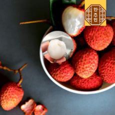 안주인몰 리치 냉동열대과일 1kg 100%과육, 1개