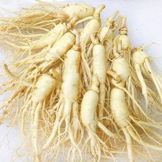 금산 후금이네 가정용 햇 수삼 세척인삼, 300g, 1세트, 5뿌리-7뿌리(난발)