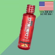 이사토리 카르니틴 L카르니틴 엘카르니틴 카르티닌 아미노산 LS3 1500 말리부 비치 1500mg 16온스 480ml Isatori L Carnitine Malibu Beach