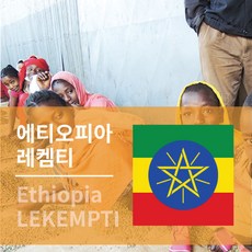 에티오피아 레켐티 G5 생두 1kg 생두구입 커피생두 LEKEMPTI, 1개