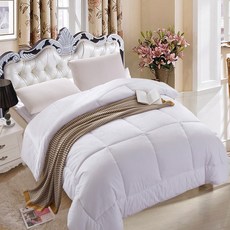 三浦太郎 台灣製奈米銀離子1.6公斤羊毛被, 一入