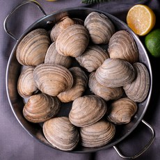 거제도 생물 활 개조개 대합 조개, 2개, 1kg(8-13미 내외)