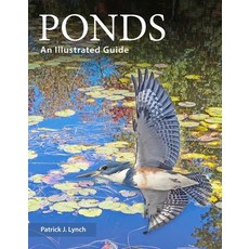 (영문도서)Ponds: An Illustrated Guide Paperback, Yale University Press, English, 9780300284966