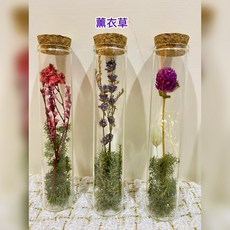 Sally 瓶中乾燥花 玻璃瓶裝花束, 薰衣草,加購禮盒+燈飾+提袋