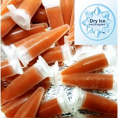 브라인쉬림프 튜브 30개 (열대어 구피먹이 디스커스 금붕어먹이 한국 중국 제조특허등록 아스타잔틴 냉브), 42g, 1개