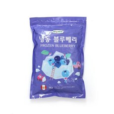 블루베리 냉동 1kg, 1개