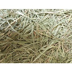 提摩西二割 寵物牧草, 1個