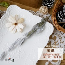 極度花燥 小盼草 乾燥花材 60-80公分 噴金, 【乾燥小盼草】噴銀,一枝
