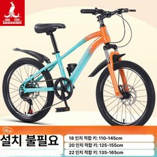 KN 20인치자전거 20인치자전거 자전거20인치, 단일 속도, 18인치, 스포크 휠 오렌지그린 A