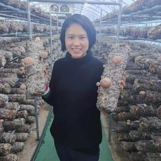 사랑이네농장 무농약 생표고버섯 농장직송 가정용(모난이)1kg, 1개