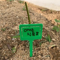 식집사 클립형 식물 라벨 5P 꽃이름표 식물라벨, 없음