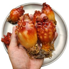 남도며느리 산지직송 활 멍게 연안 국내산 꽃멍게 앵치멍게, 1세트, 2kg