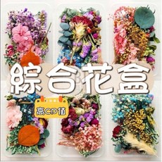 花州系列 綜合花盒 真花壓花 永生花 森林系植物標本 DIY水晶滴膠素材