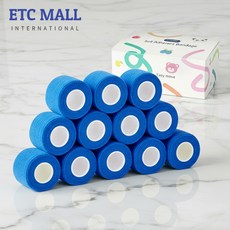 이티씨몰 자가점착 밴드 2.5cm 압박붕대 10+2 블루, 1개