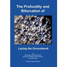 The Profundity and Bifurcation of Change Part I: Laying the Groundwork Paperback, Mqipress